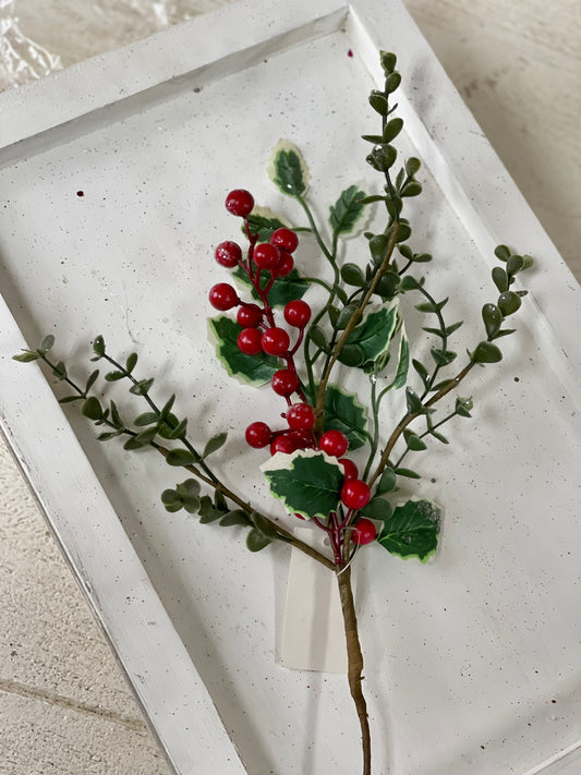 13 Inch Red Berry With Holly And Boxwood Pick