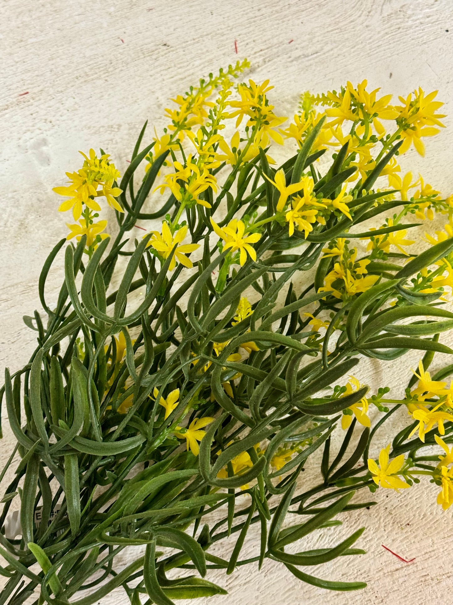 19 Inch Yellow And Green Spike Flower Bush