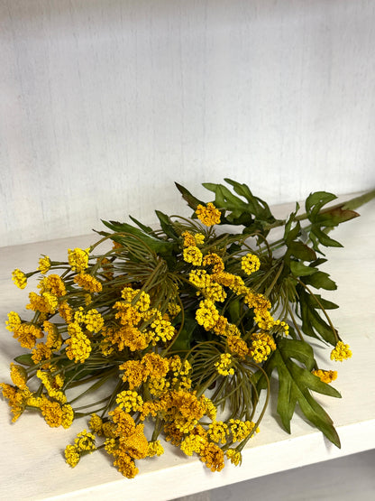 21 Inch Yellow Queen Ann Lace Bush