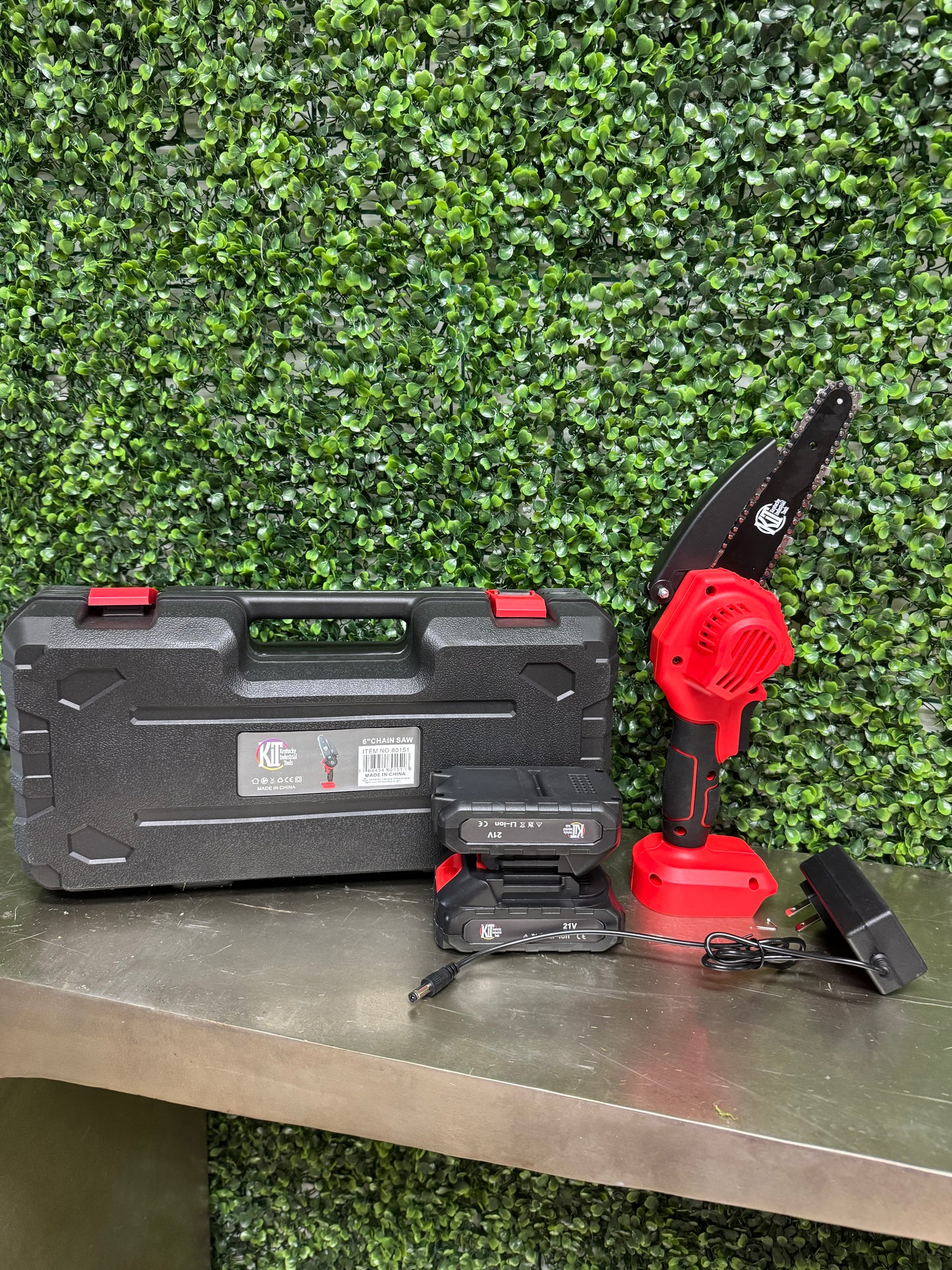 Kit 6 Inch 21 Volt Chainsaw