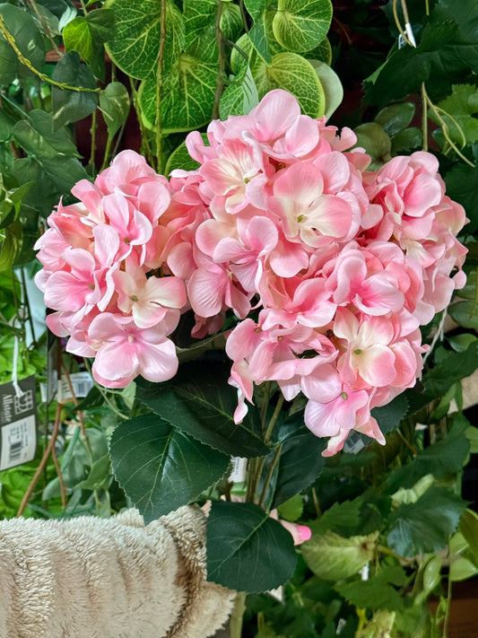 20.5 Inch Pink Hydrangea Bush