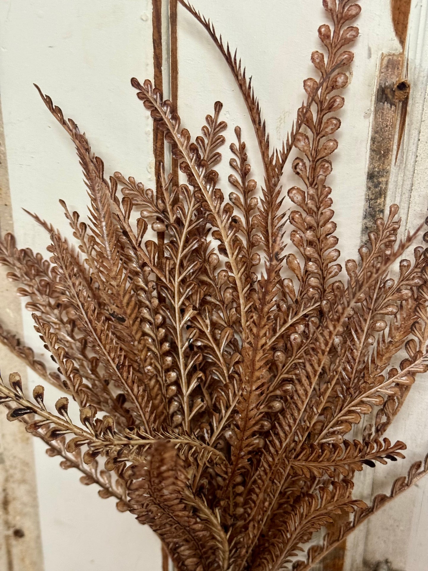 17.5 Inch Brown And White Wash Bead Grass Bush
