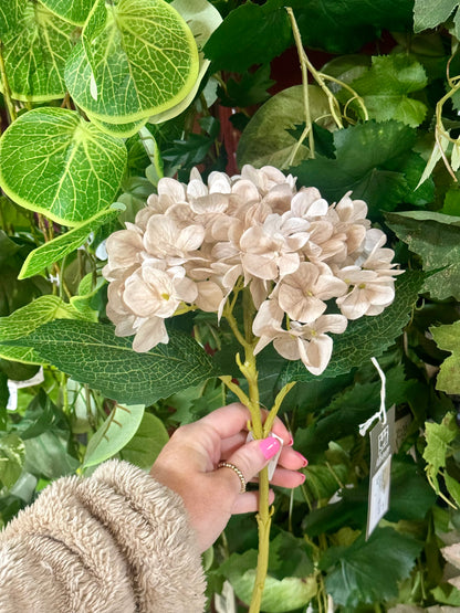 18 Inch Beige Hydrangea Stem