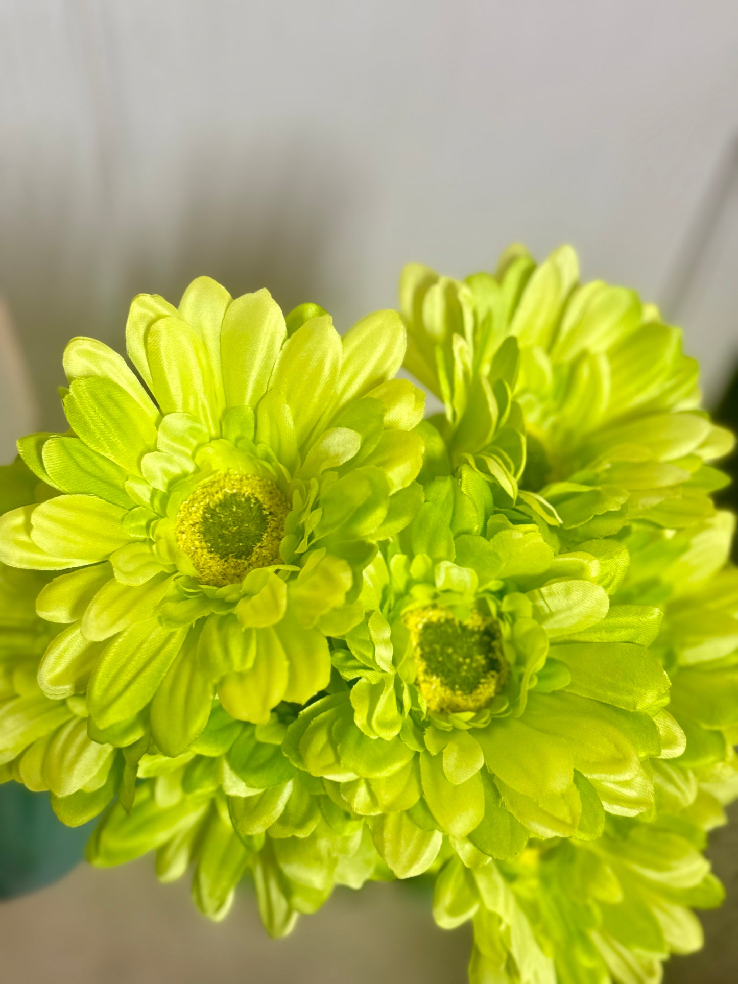 21 Inch Green Gerbera Daisy Floral Bush