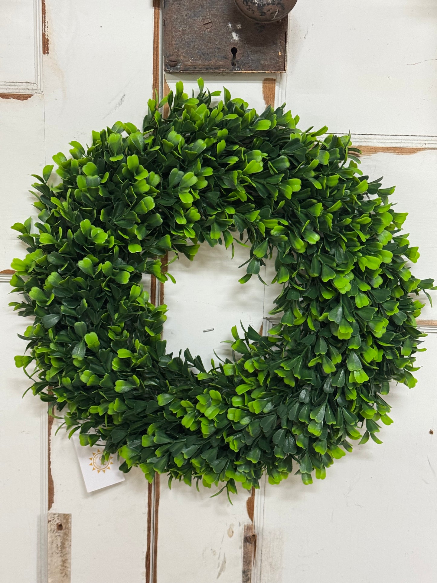 16 Inch Green Round Boxwood Wreath