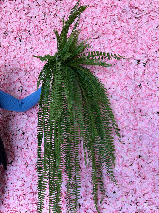 51 Inch Boston Fern Bush
