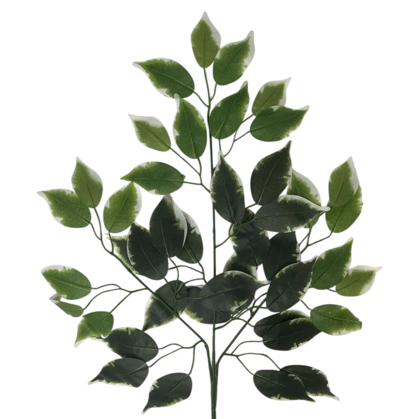 23 Inch Silk Ficus Leaf Spray