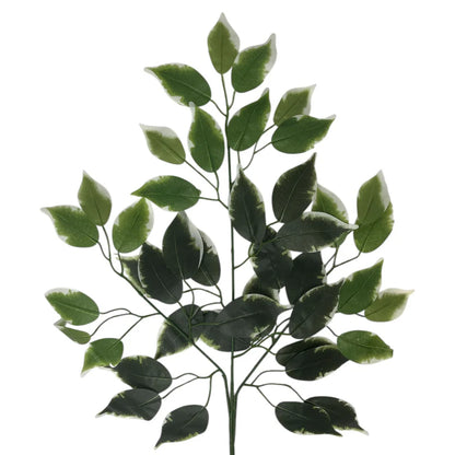 23 Inch Silk Ficus Leaf Spray