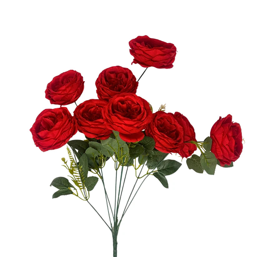 24 Inch Red English Rose Bush