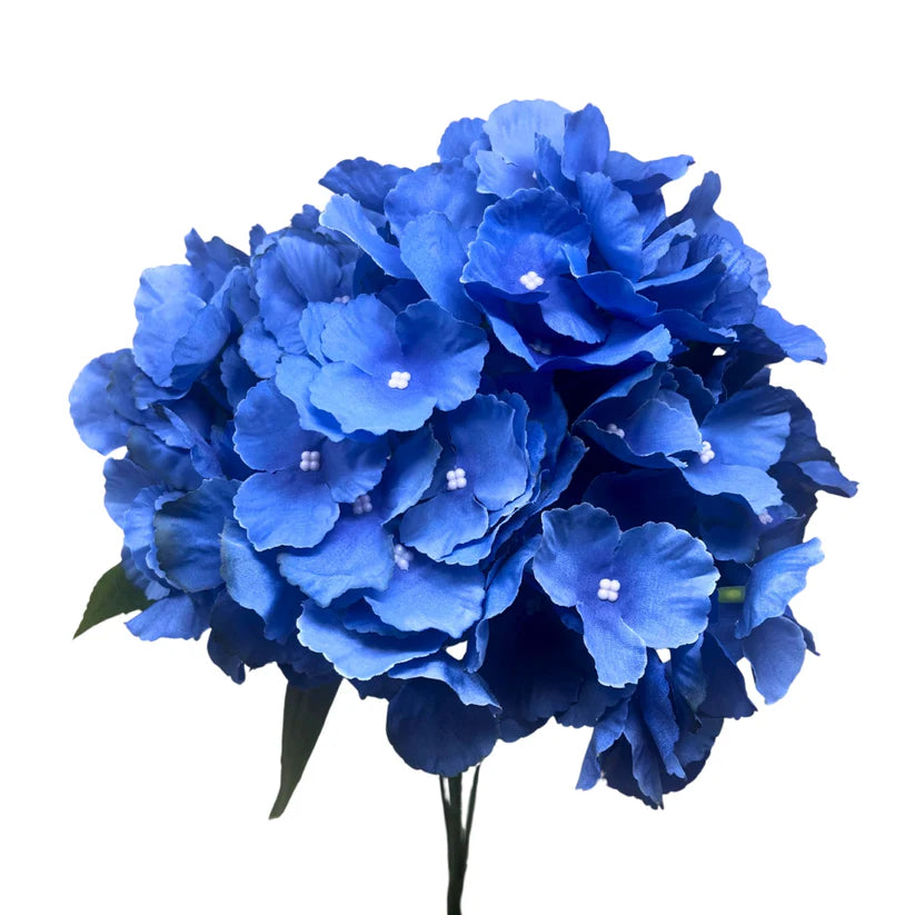 18 Inch Blue Southern Hydrangea Bush