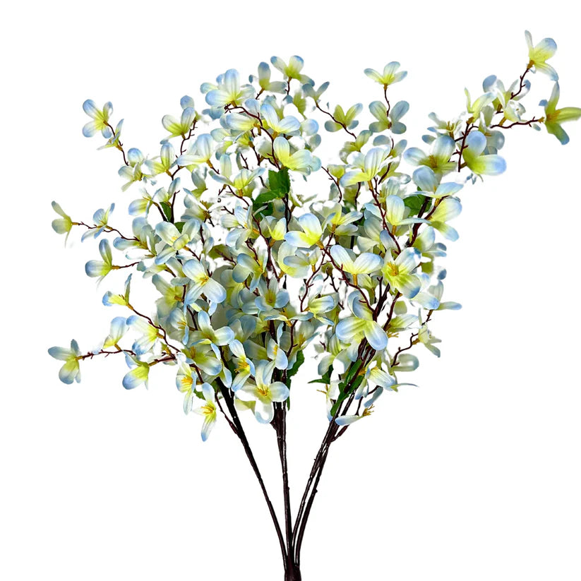 24 Inch Blue And Green Tweedia Bush