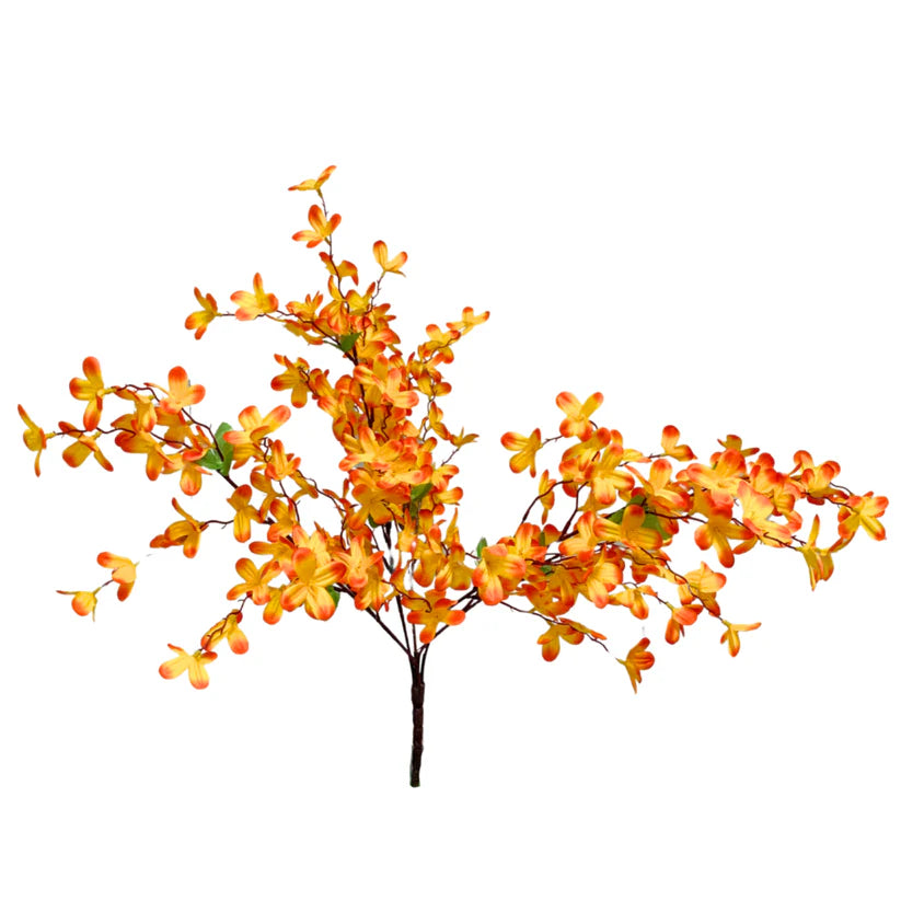 24 Inch Orange Tweedia Bush