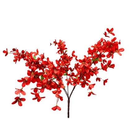 24 Inch Red Tweedia Bush