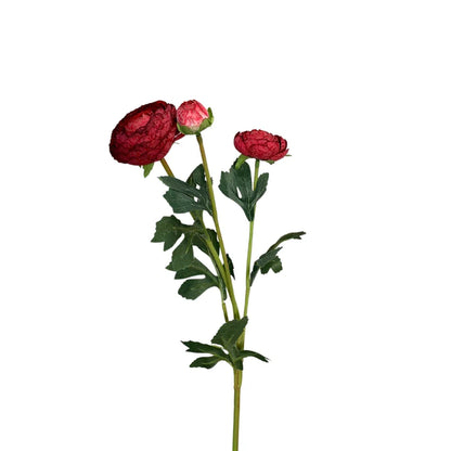 23 Inch Burgundy Caressed Sunrise Triple Peony Spray