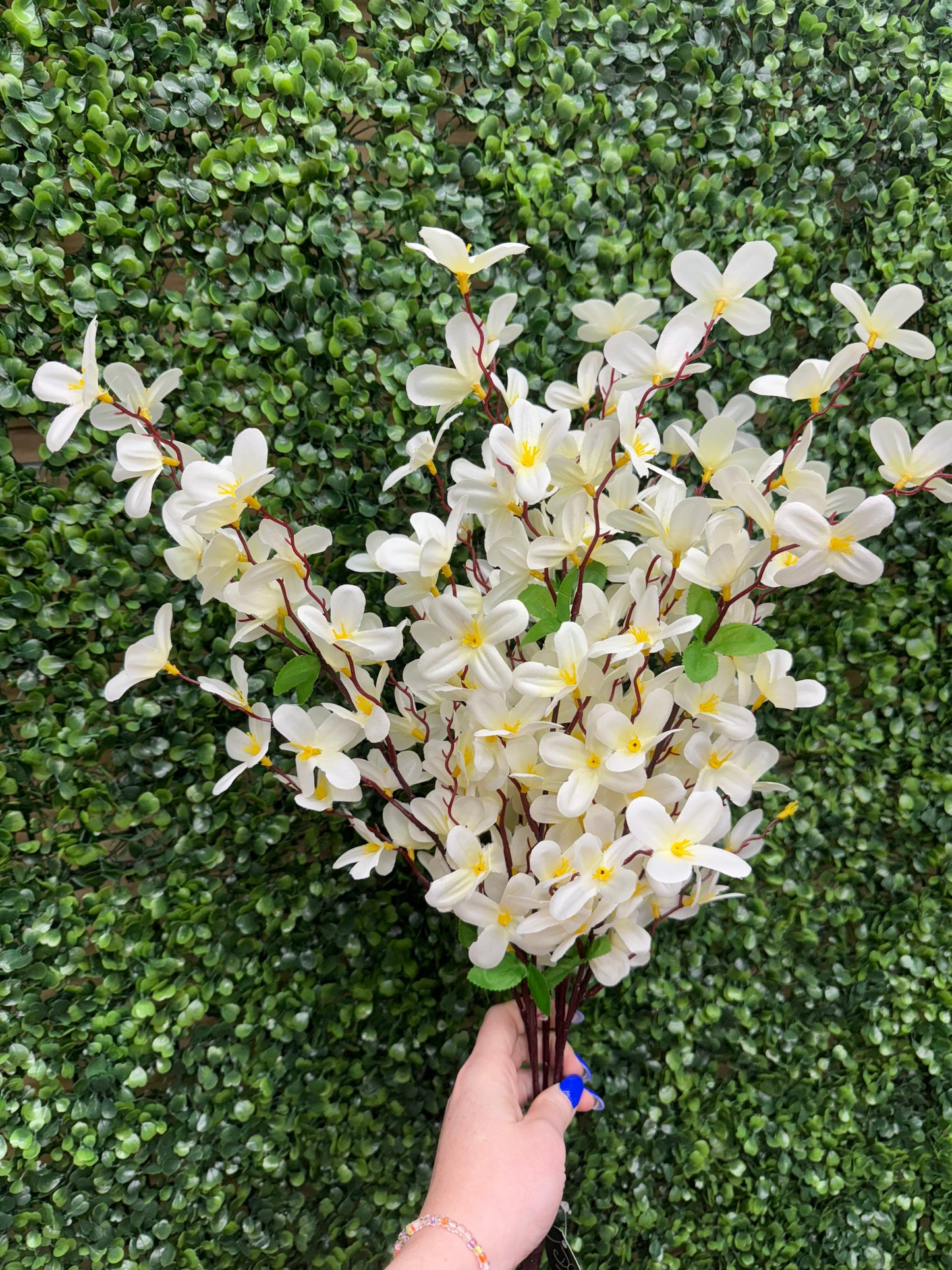 24 Inch Cream Tweedia Bush