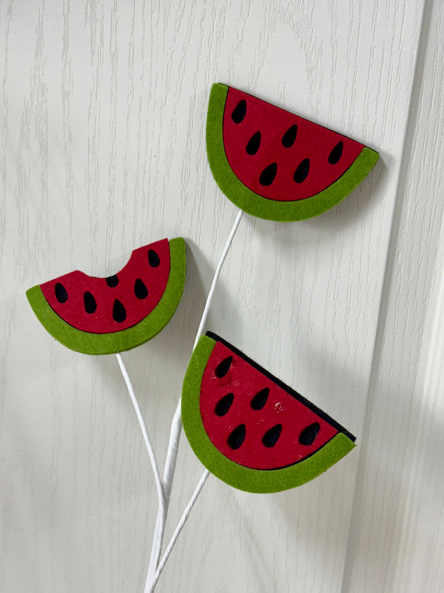 23.5 Inch Watermelon Felt Spray