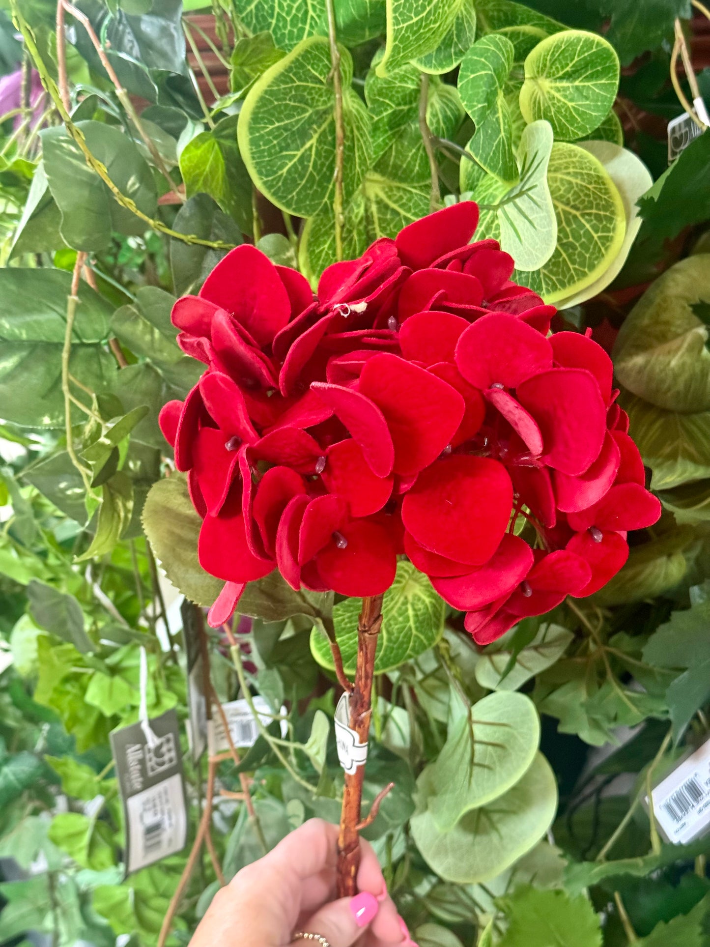 29 Inch Red Velvet Hydrangea Stem