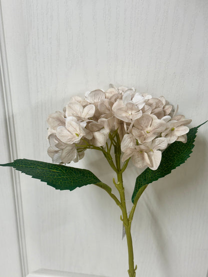 18 Inch Beige Hydrangea Stem