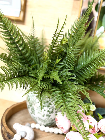 18 Inch Mountain Fern Bush