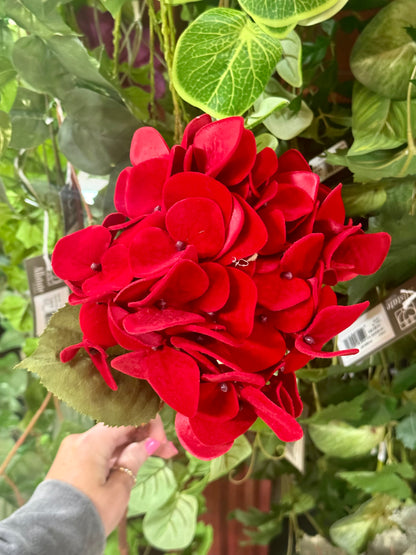 29 Inch Red Velvet Hydrangea Stem