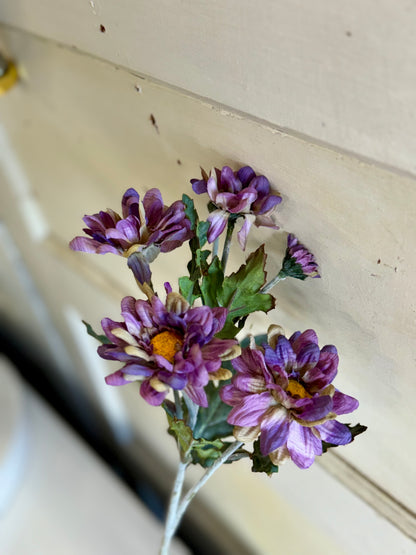 24 Inch Purple Marigold Daisy Stem