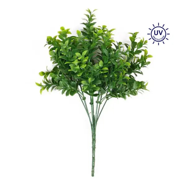 14 Inch Boxwood Bush