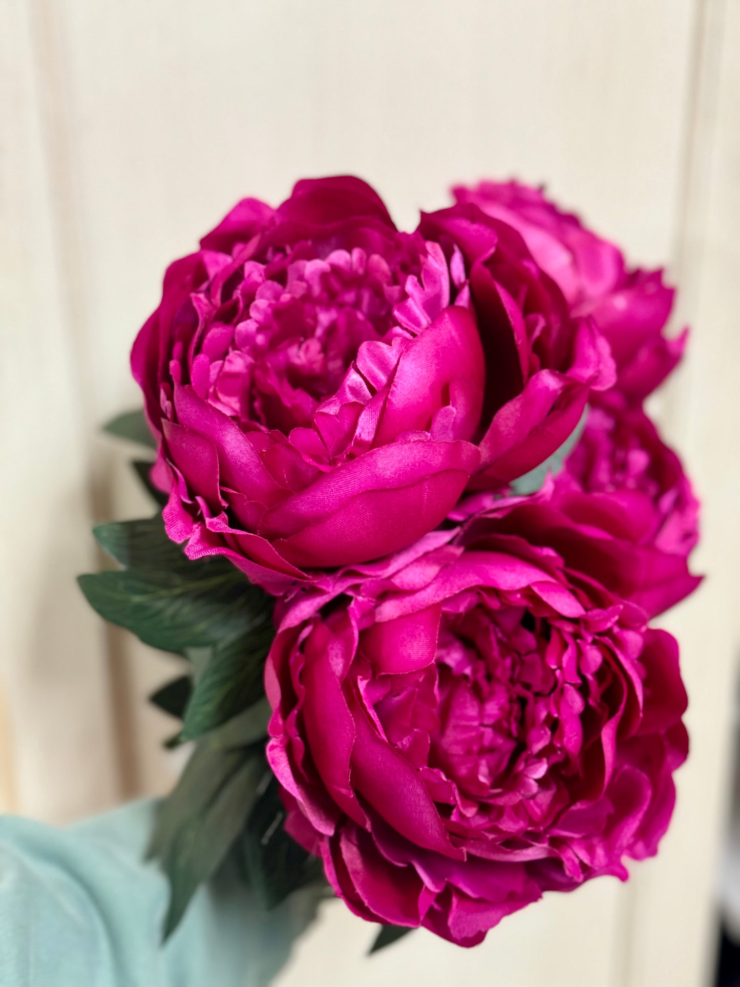 20 Inch Beauty Pink Peony Bush