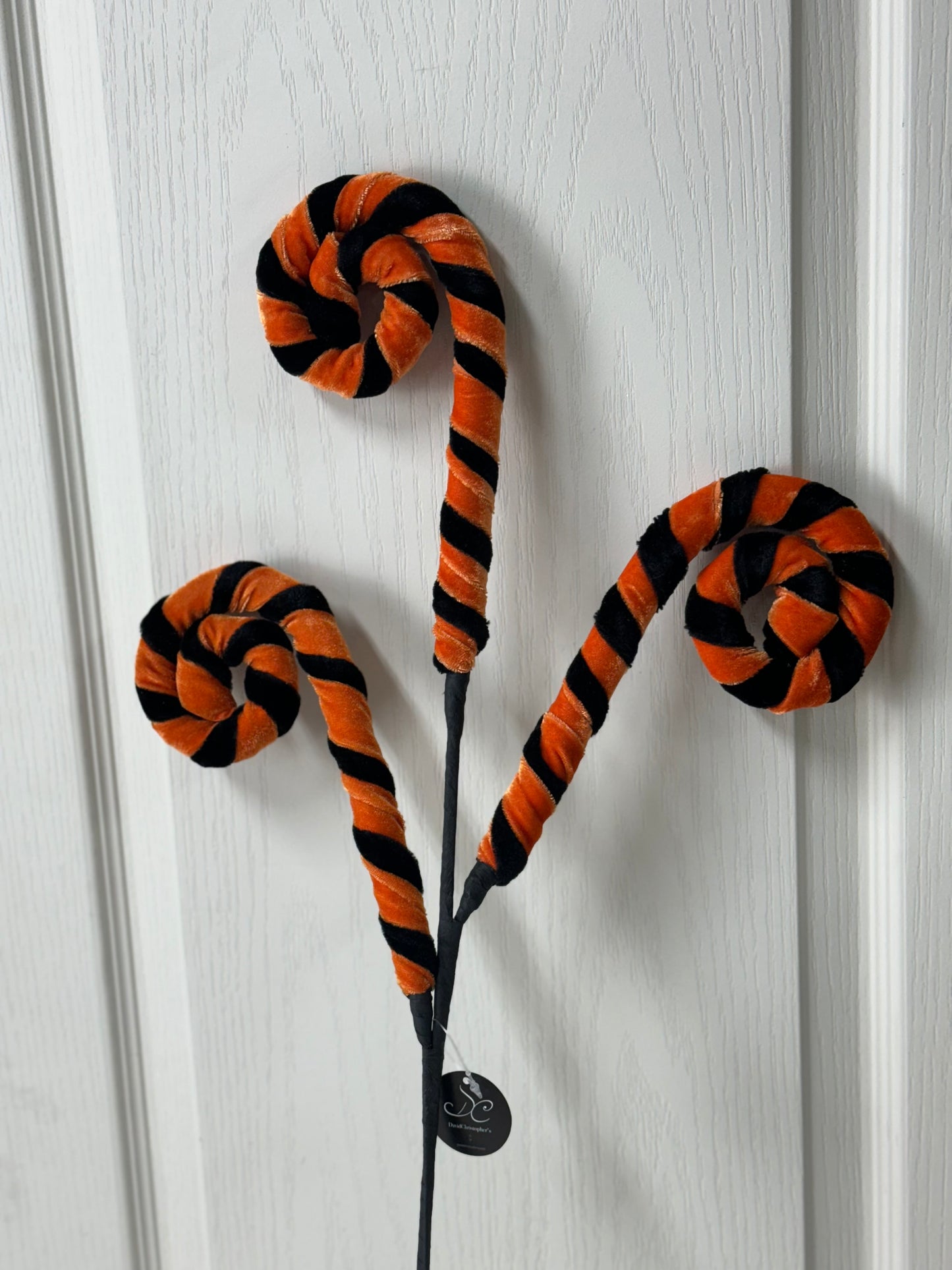 28 Inch Velvet Black And Orange Whimsy Curly Spray