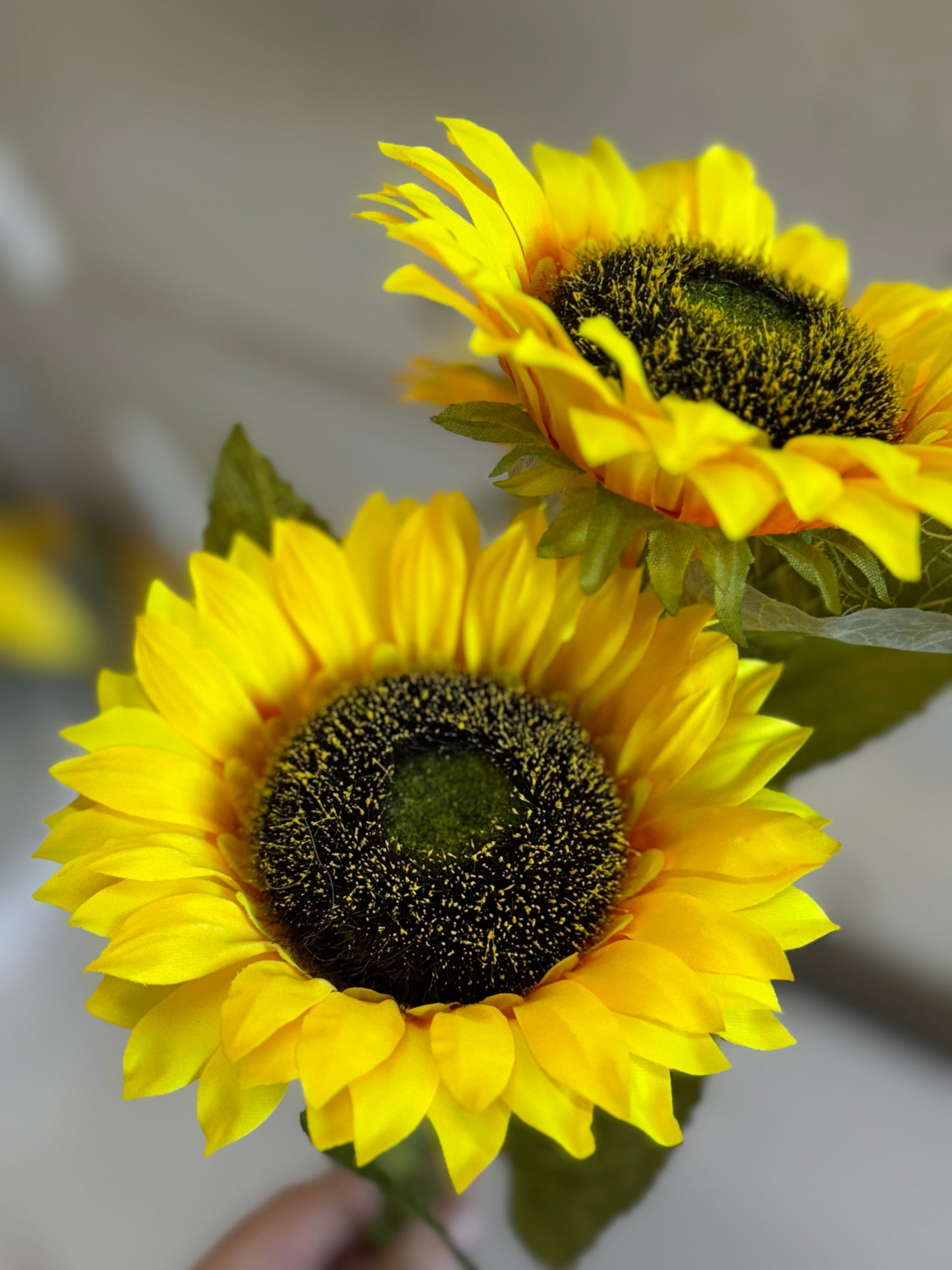 24 Inch Triple Yellow Sunflower Spray