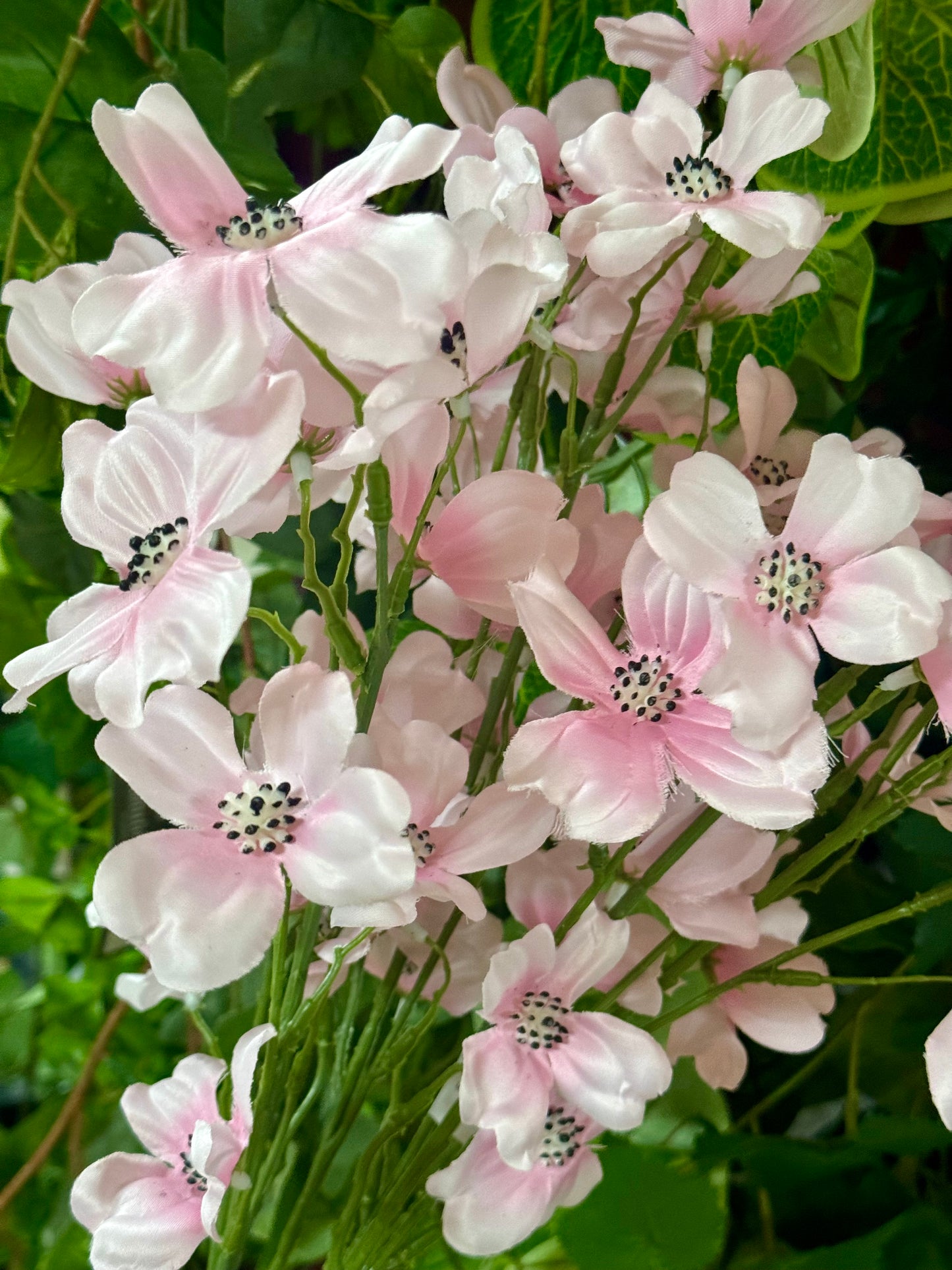 22 Inch Pink Dogwood Bush