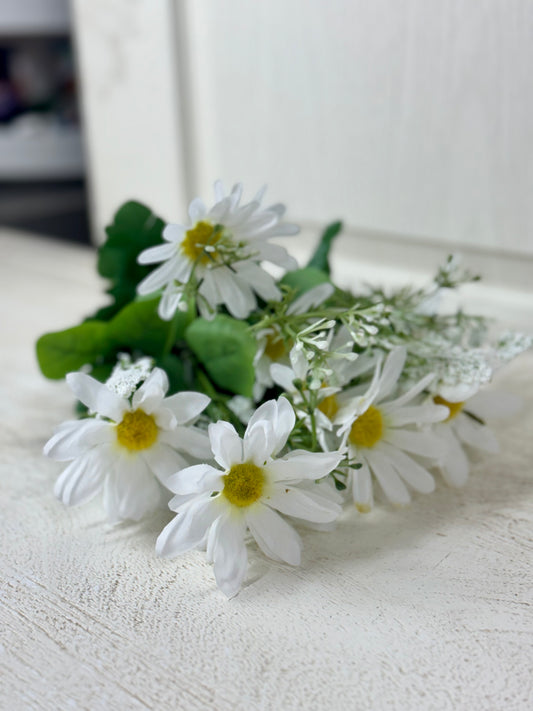 20 Inch White Daisy Mix Bush