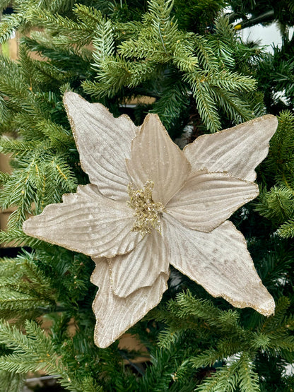 15.5 Inch Champagne Textured Poinsettia Stem