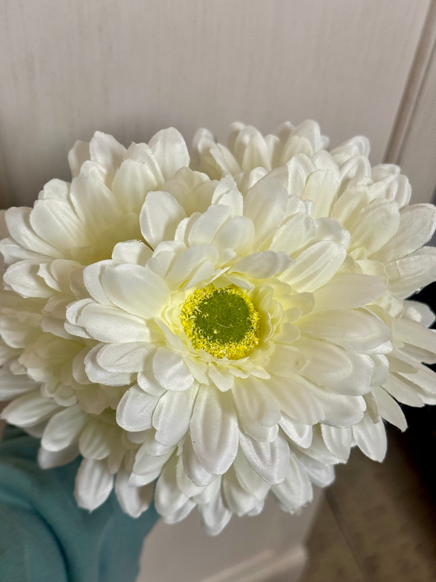 21 Inch Cream Gerbera Daisy Floral Bush