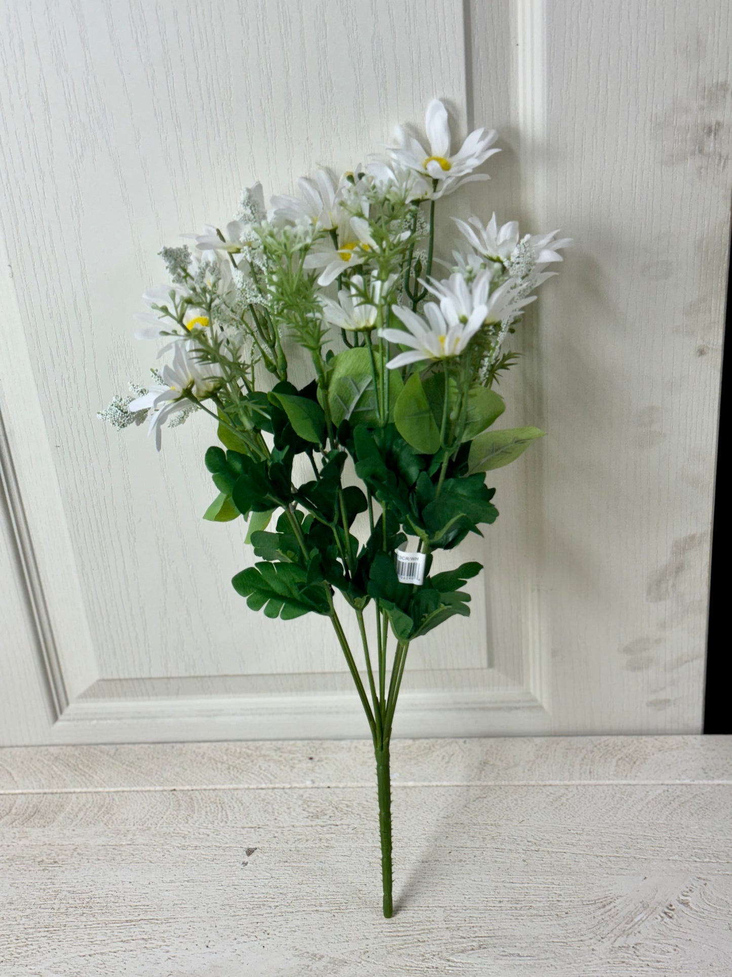 20 Inch White Daisy Mix Bush