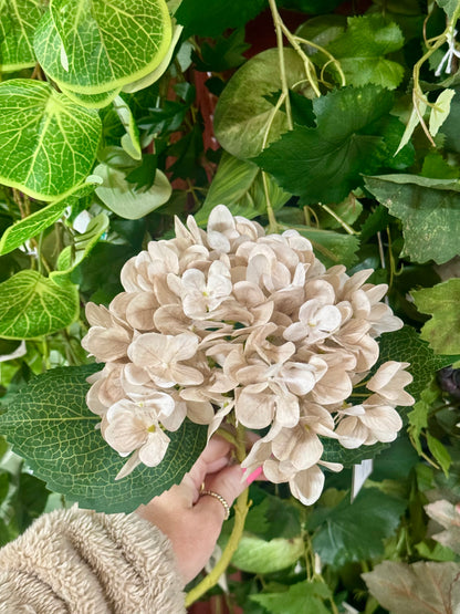 18 Inch Beige Hydrangea Stem