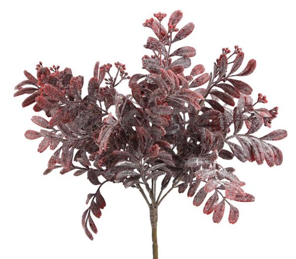 14 Inch Red Spice Leaf Bush