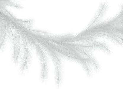 6 Foot White Grass Plume Garland