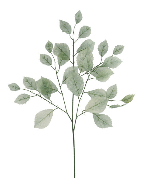 28 Inch Sage Green Rose Leaf Spray