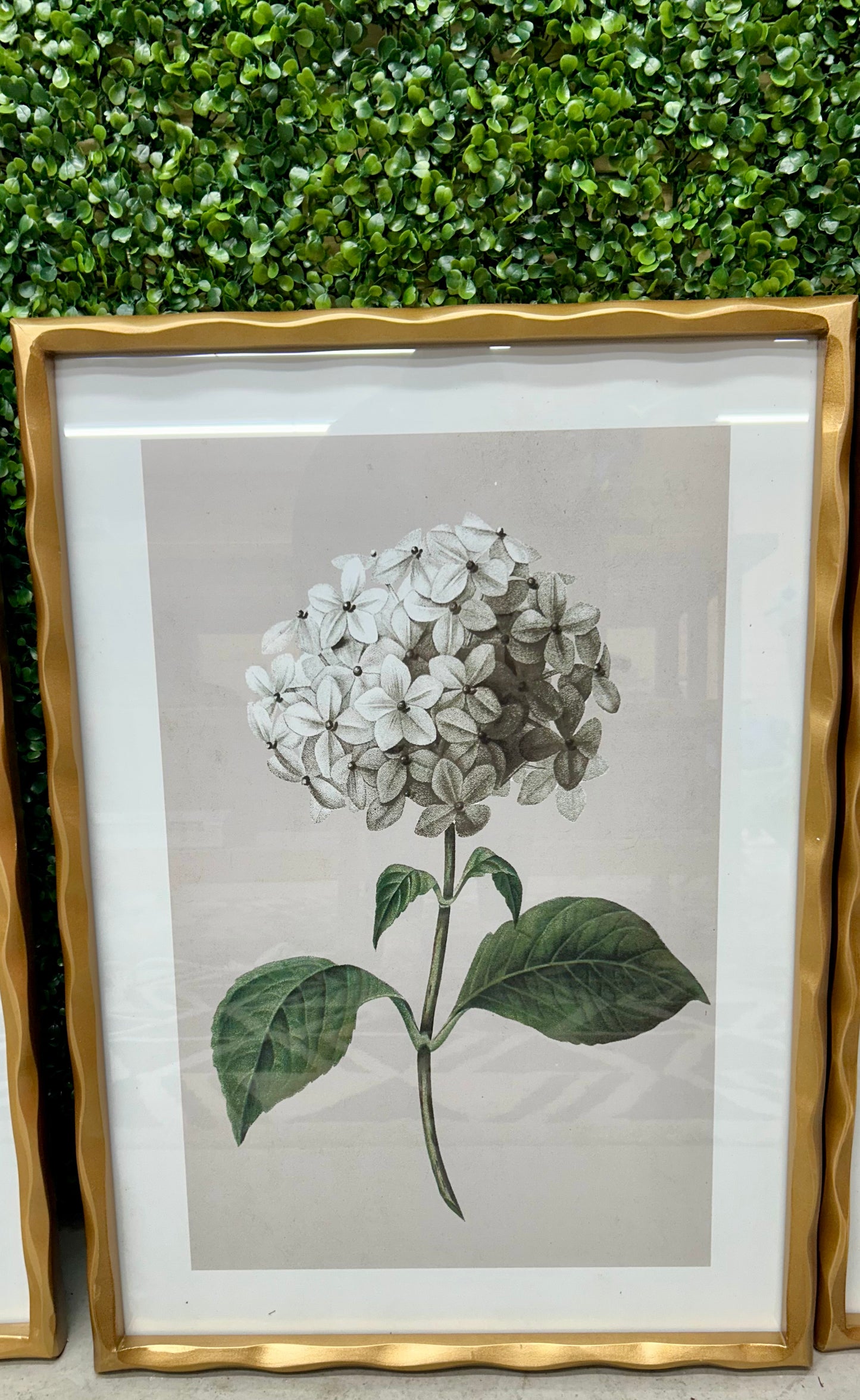 27.5 Inch Hydrangea In Gold Ornate Wood Frame Four Styles