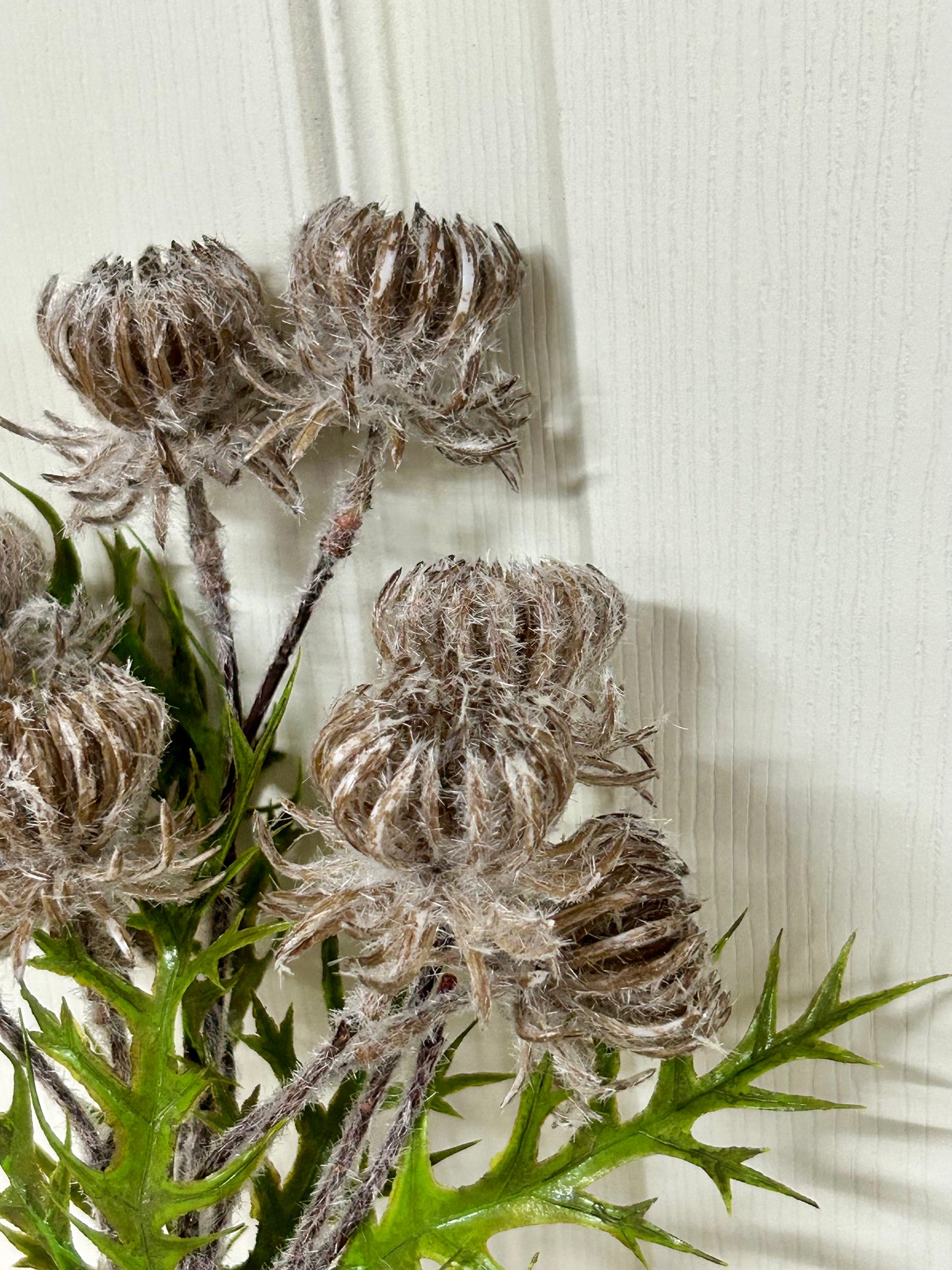 23 Inch Brown Thistle Leaf Spray