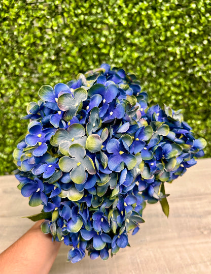 18 Inch Royal Blue Hydrangea Bush