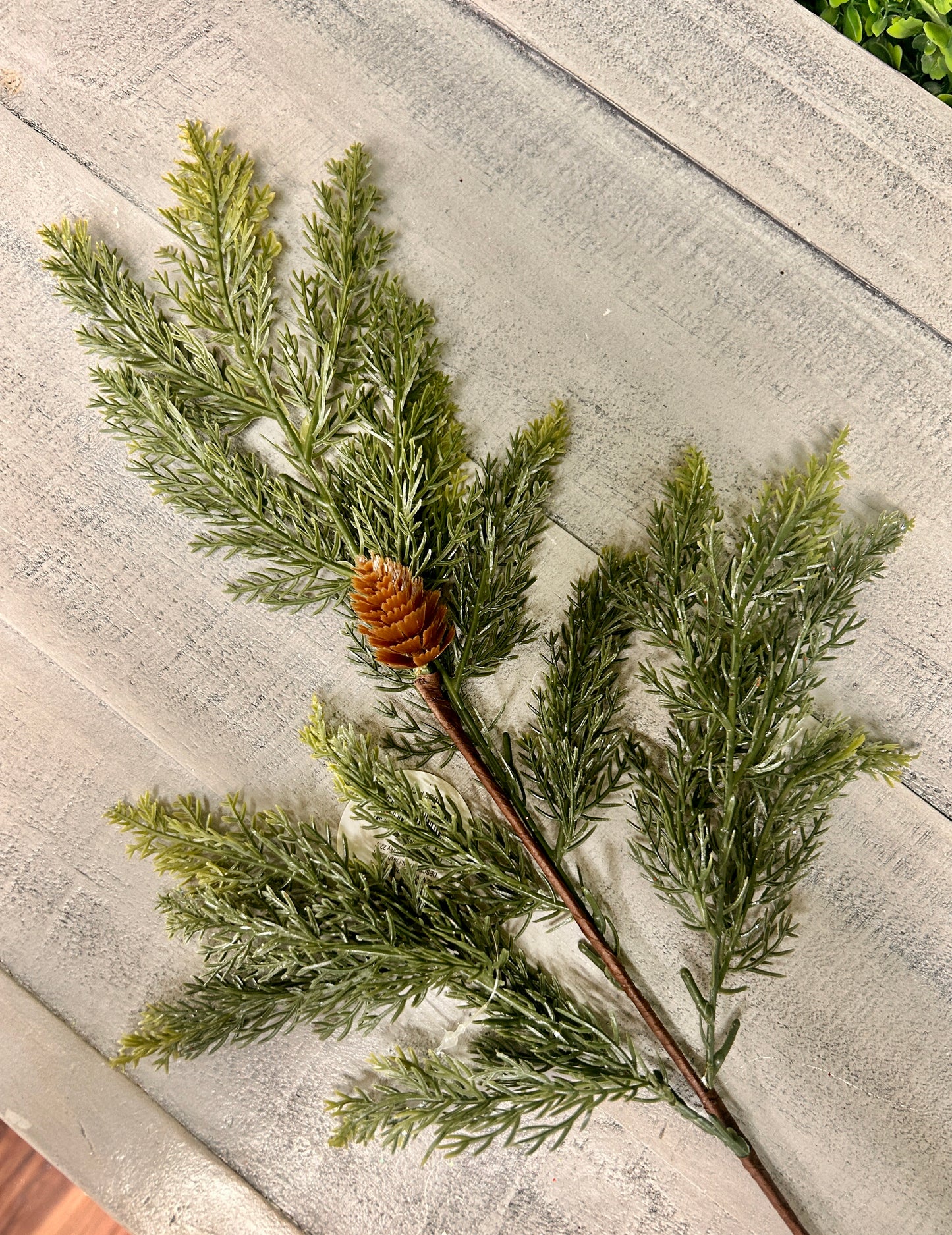 22.5 Inch Fresh Touch Cedar Spray