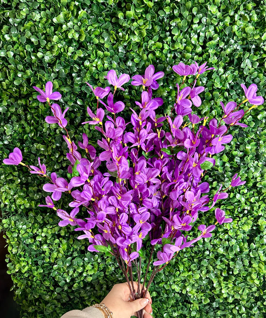 24 Inch Purple Tweedia Bush