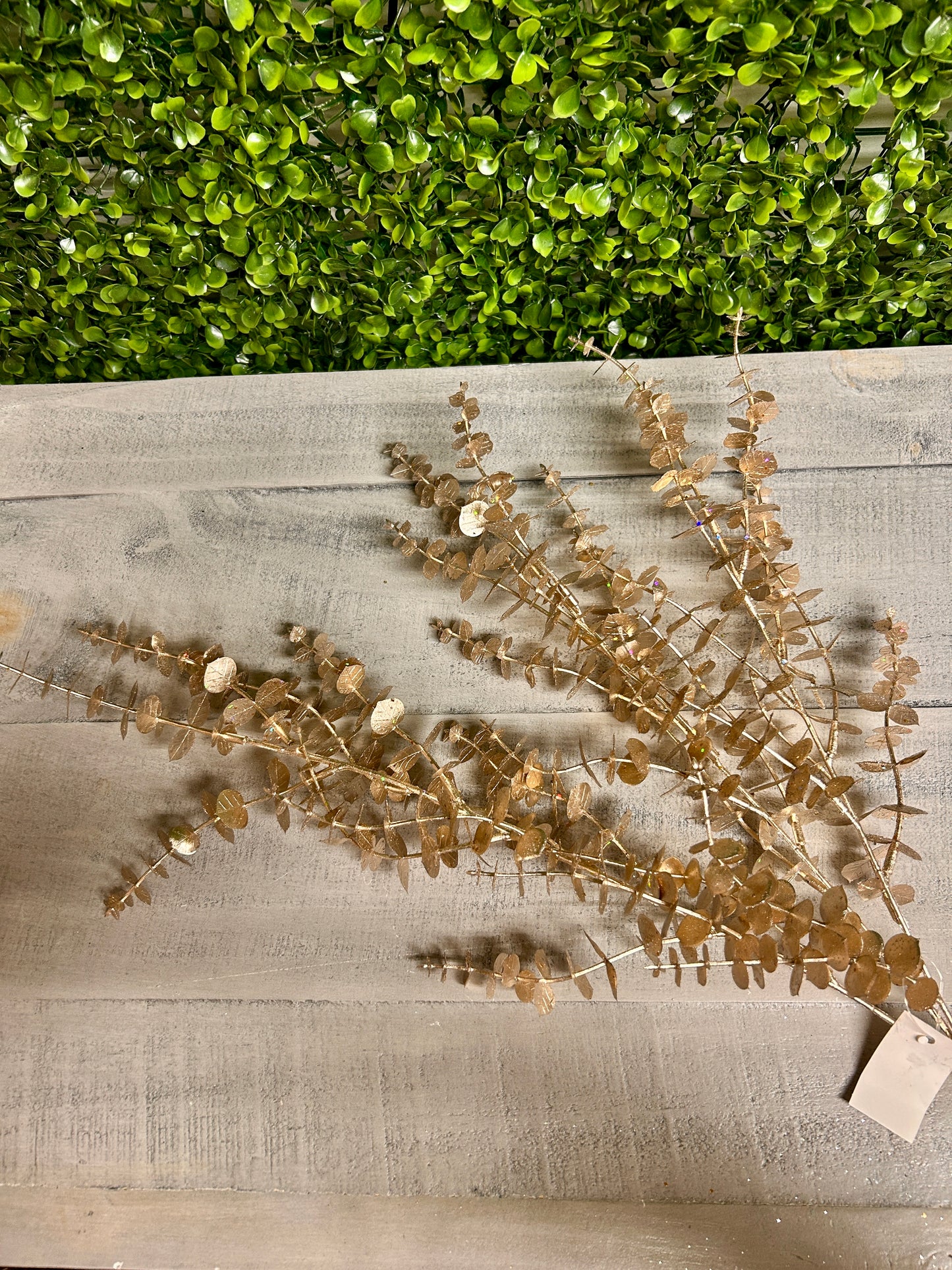 29 Inch Champagne Eucalyptus Bush