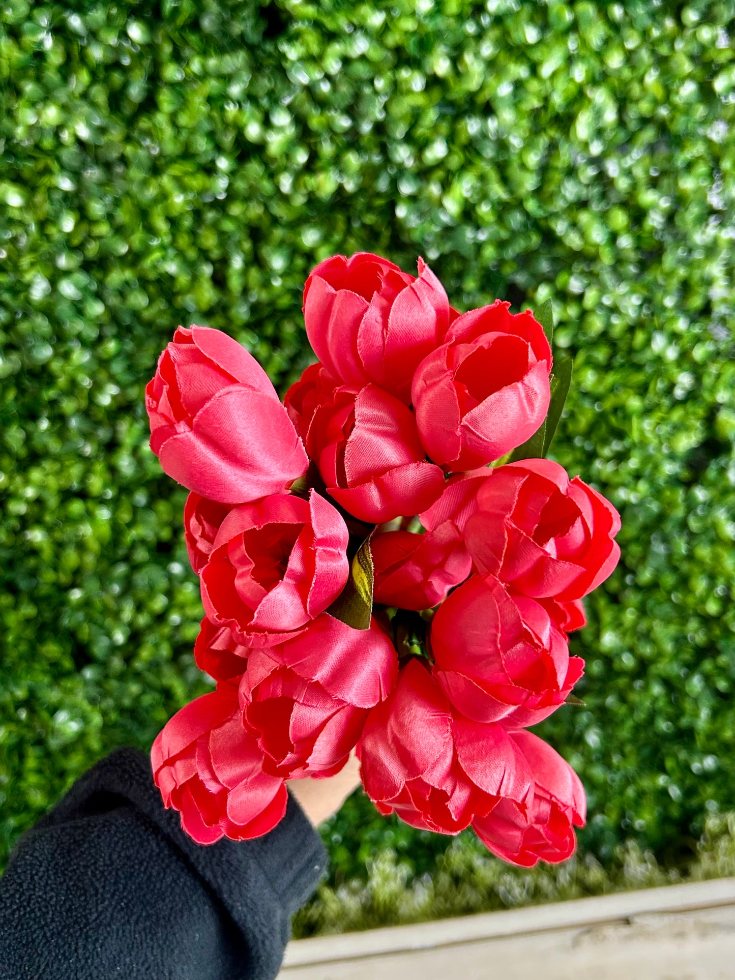 18.5 Inch Coral Crocus Bush