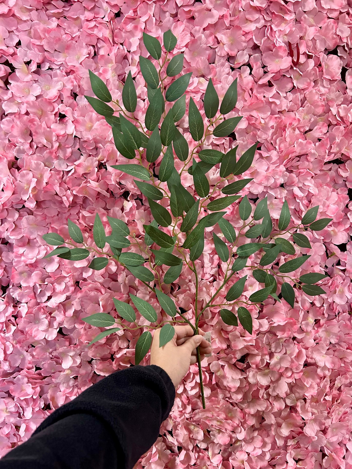 20 Inch Light Green Wisteria Leaf