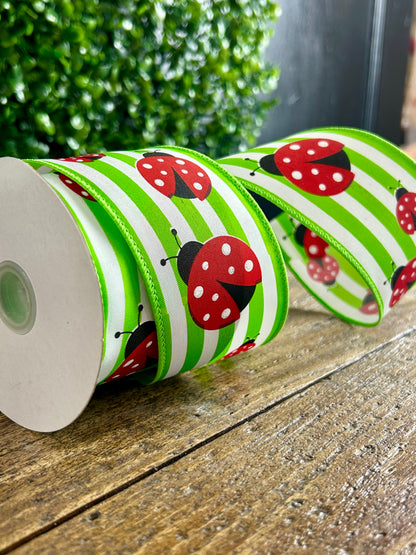 2.5 Inch By 10 Yard Ladybug On Stripes Ribbon