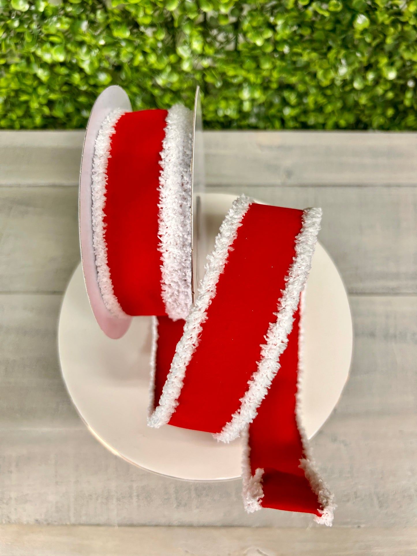 1.5 Inch By 10 Yard Red And White Velvet With Drift Edge Ribbon