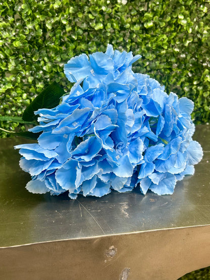 18 Inch Light Blue Southern Hydrangea Bush