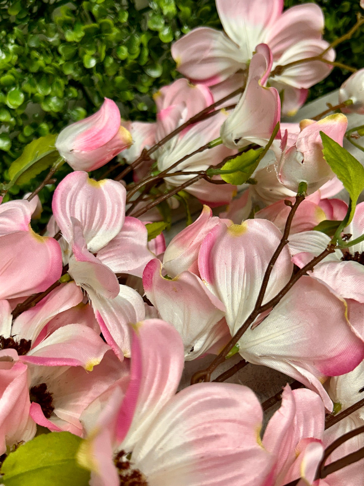 49 Inch Southern Dogwood Bundle